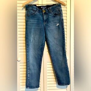 Democracy ABsolution Jeans